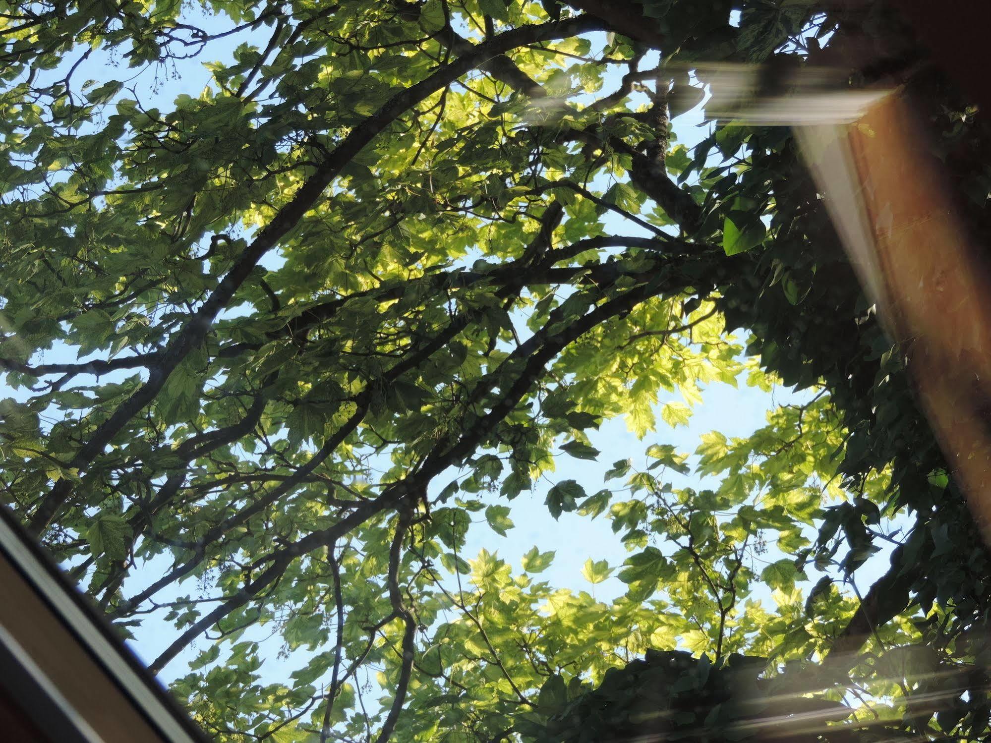B&B Le Valangre Chaumont-Gistoux エクステリア 写真